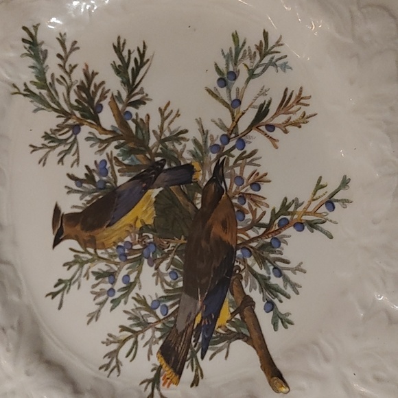 Bombycilla Carolinensis Cedar Bird Plate - Picture 2 of 3